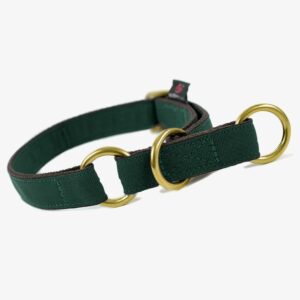 Suchtrupp Schlupfhalsband Golden British Racing Green